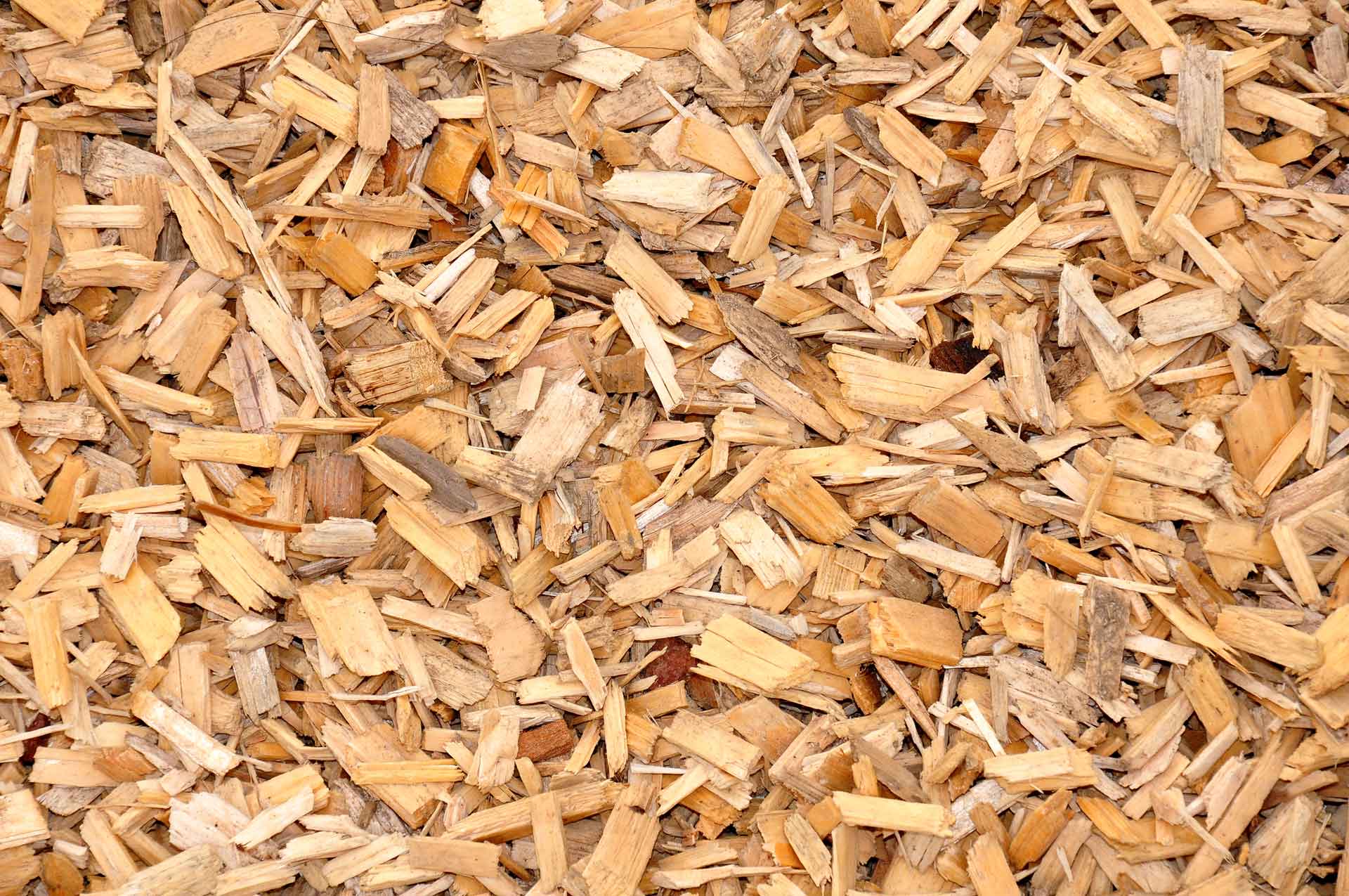 Explore our Landscape Bark Collection – Cedar Products (Coarse Cedar Chip Image)